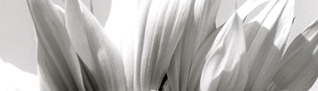ateliertrends schwarz weiss fotografie